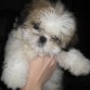 3 meses la peluchita